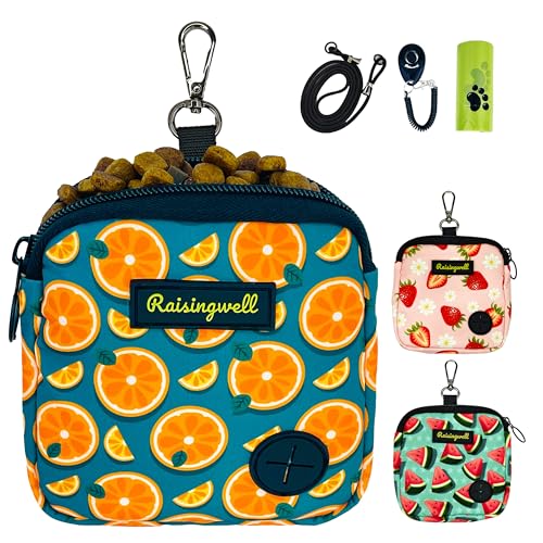 Raisingwell Leckerlibeutel Hund mit Clicker und Kotbeutelspender – kompakte Trainingstasche mit Magnetverschluss, waschbar & tragbar (Früchte Orange) von Raisingwell
