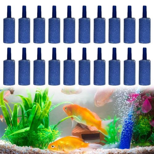 Rakiuty Aquarium Sauerstoffstein,Luftstein für Aquarium,Sauerstoff Stein,Luftstein für Aquarium Luftblase Stein,Aquarium Air Stone,Geeignet für Heimaquarien zur Sauerstoffversorgung,20 Stück Rakiuty Aquarium Sauerstoffstein,Luftstein für Aquarium,Sauerstoff Stein,Luftstein für Aquarium Luftblase Stein,Aquarium Air Stone,Geeignet für Heimaquarien zur Sauerstoffversorgung,20 Stück von Rakiuty