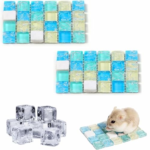 Rakiuty Kühlmatte für Hamster, Kühlmatte für Meerschweinchen, Kaninchen-Kühlkissen Hamster, Kühlung Pad Sommer, Meerschweinchen Schlafmatte Bett, Haustier Eismatte Kühlkissen, 2 Stück (Blau) von Rakiuty