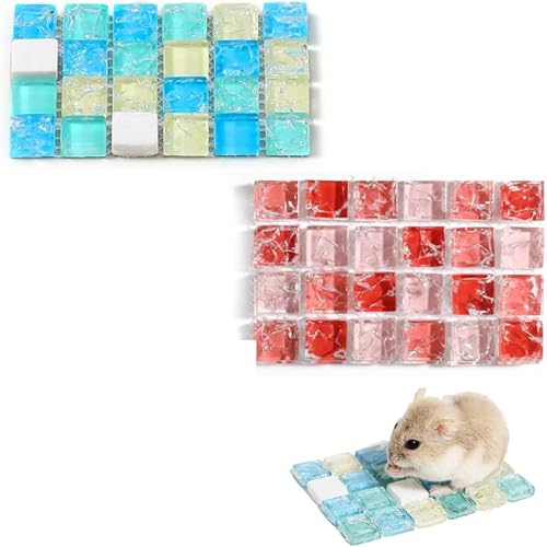 Rakiuty Kühlmatte für Hamster, Kühlmatte für Meerschweinchen, Kaninchen-Kühlkissen Hamster, Kühlung Pad Sommer, Meerschweinchen Schlafmatte Bett, Haustier Eismatte Kühlkissen, 2 Stück von Rakiuty
