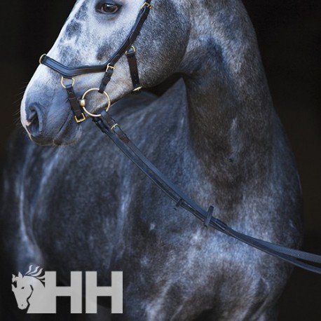 Rambo Micklem Multibridle Original Farbe: Schwarz, Größe: Standardhorse/voll von Rambo
