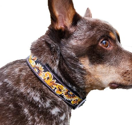 Hundehalsband aus Leder, Sonnenblumen-Design, nicht gepolstert, Größe L, Gelb Hundehalsband aus Leder, Sonnenblumen-Design, nicht gepolstert, Größe L, Gelb von Ranch Hand Store