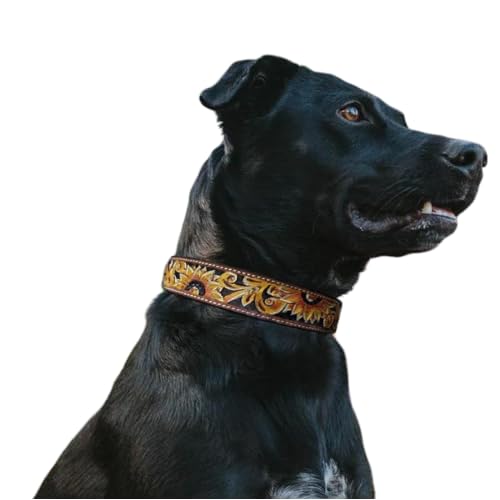 Hundehalsband aus Leder, Sonnenblumen-Design, nicht gepolstert, Größe S, Gelb Hundehalsband aus Leder, Sonnenblumen-Design, nicht gepolstert, Größe S, Gelb von Ranch Hand Store