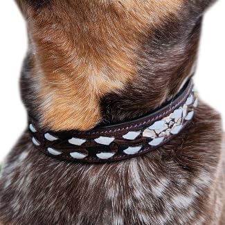 Hundehalsband aus Leder, mit weißem Buckstich, Größe L Hundehalsband aus Leder, mit weißem Buckstich, Größe L von Ranch Hand Store