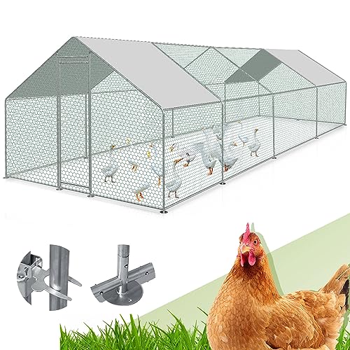 Randaco 3x8x2m Freilaufgehege Hühnerstall, XXL Verzinkter Stahl Hühnerhaus Dach Geflügelstall mit Sonnenschutzdach und Tür für Haustierkäfig Vogelkäfig Kleintiere, mit Schloss Randaco 3x8x2m Freilaufgehege Hühnerstall, XXL Verzinkter Stahl Hühnerhaus Dach Geflügelstall mit Sonnenschutzdach und Tür für Haustierkäfig Vogelkäfig Kleintiere, mit Schloss von Randaco