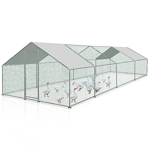 Randaco 3x8x2m Hühnerstall, Metall Freilaufgehege Freigehege, Hühnerkäfig Kleintierstall Voliere mit Dachplane, Heimtiergehege für Hühner Geflügel Kleintiere Randaco 3x8x2m Hühnerstall, Metall Freilaufgehege Freigehege, Hühnerkäfig Kleintierstall Voliere mit Dachplane, Heimtiergehege für Hühner Geflügel Kleintiere von Randaco