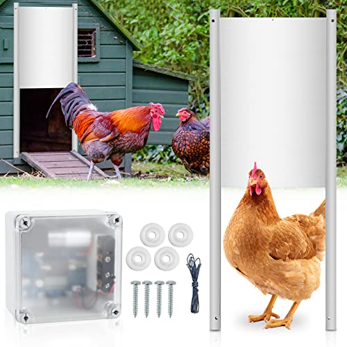 Randaco Automatische Hühnertür Hühnerklappe mit Zeitschaltuhr & Lichtsensor Türöffner Hühnerstall für Hühnerhaltung Hühner, Kaninchen, Enten von Randaco