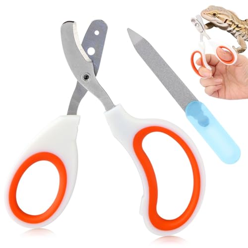 Ranjaner Bartdrachen-Nagelknipser, Edelstahl, Katzennägel-Trimmer, Kleintier-Nagelknipser für Vögel, Hamster, Kaninchen, Chamäleon, Bartdrache, professioneller Krallentrimmer (Orange) von Ranjaner