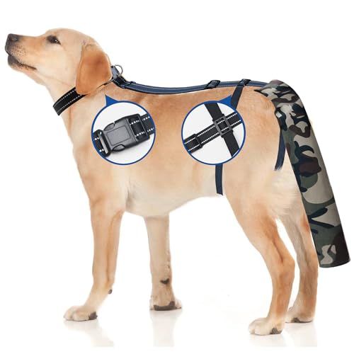 Hundeschwanzschutz für Wunden, verstellbare Abdeckung, kein Kauen, Hundebandagen zur Wundheilung, Schwanz-Wundschutz für Hunde, langlebige Hunde-Schwanzabdeckung, Hunde-Wundschutz (L) von Ranpetoi