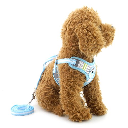 Ranphy Atmungsaktives Mesh Hundegeschirr No Pull Pet Vest Step-In Geschirr mit Leine Set Verstellbar für Walking Training Laufen Wandern Blau Größe S Ranphy Atmungsaktives Mesh Hundegeschirr No Pull Pet Vest Step-In Geschirr mit Leine Set Verstellbar für Walking Training Laufen Wandern Blau Größe S von Ranphy