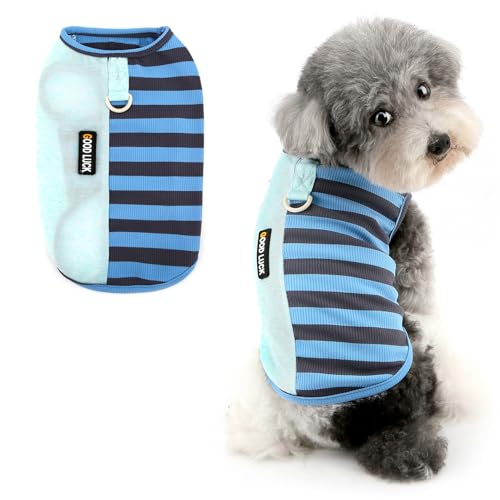 Ranphy Color-Block gestreiftes Haustier-Strick-T-Shirt für X-Small und kleine Hunde, niedliches Welpen-Tanktop, atmungsaktive Weste, Hemd mit Leine, Ring, Yorkie, Chihuahua, Frühling, Sommer Ranphy Color-Block gestreiftes Haustier-Strick-T-Shirt für X-Small und kleine Hunde, niedliches Welpen-Tanktop, atmungsaktive Weste, Hemd mit Leine, Ring, Yorkie, Chihuahua, Frühling, Sommer von Ranphy