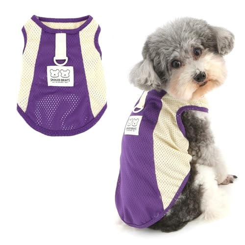 Ranphy Colorblock Sport-T-Shirt für Haustiere, Netzgewebe für X-Small und kleine Hunde, atmungsaktiv, Welpen-Tanktop mit D-Ring, ärmellose Weste, Yorkie, Chihuahua, Frühling, Sommer, Katzenkleidung Ranphy Colorblock Sport-T-Shirt für Haustiere, Netzgewebe für X-Small und kleine Hunde, atmungsaktiv, Welpen-Tanktop mit D-Ring, ärmellose Weste, Yorkie, Chihuahua, Frühling, Sommer, Katzenkleidung von Ranphy
