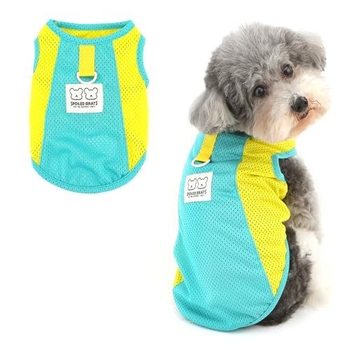 Ranphy Colorblock Sport-T-Shirt für Haustiere, Netzgewebe für X-Small und kleine Hunde, atmungsaktiv, Welpen-Tanktop mit D-Ring, ärmellose Weste, Yorkie, Chihuahua, Frühling, Sommer, Katzenkleidung Ranphy Colorblock Sport-T-Shirt für Haustiere, Netzgewebe für X-Small und kleine Hunde, atmungsaktiv, Welpen-Tanktop mit D-Ring, ärmellose Weste, Yorkie, Chihuahua, Frühling, Sommer, Katzenkleidung von Ranphy