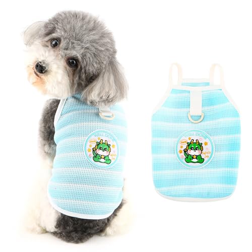 Ranphy Gestreifte Hunde-T-Shirts für kleine Hunde, Mädchen und Jungen, Haustier-T-Shirts, atmungsaktiv und weich, für Welpen, Frühling, Sommer, Outfits, Chihuahua, Yorkie, Katzen, Blau, Größe XL Ranphy Gestreifte Hunde-T-Shirts für kleine Hunde, Mädchen und Jungen, Haustier-T-Shirts, atmungsaktiv und weich, für Welpen, Frühling, Sommer, Outfits, Chihuahua, Yorkie, Katzen, Blau, Größe XL von Ranphy