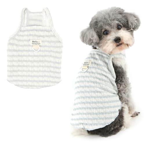 Ranphy Gestreiftes Haustier-Strickshirt für XS, kleine Hunde, Hündinnen, Träger-Tanktop, dehnbar, ärmellos, Weste, Yorkie, Chihuahua, Frühling, Sommer, Katzenkleidung, D-Ring, Blau, Größe M Ranphy Gestreiftes Haustier-Strickshirt für XS, kleine Hunde, Hündinnen, Träger-Tanktop, dehnbar, ärmellos, Weste, Yorkie, Chihuahua, Frühling, Sommer, Katzenkleidung, D-Ring, Blau, Größe M von Ranphy