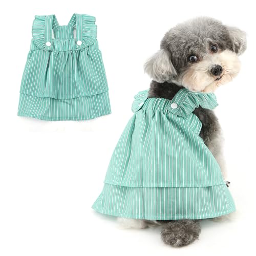 Ranphy Gestreiftes Kleid für X-Small und kleine Hunde, Rüschenärmel, Welpen, Sommerkleid, Trägerrock, Outfits, Yorkie, Chihuahua, Frühling, Sommer, Hündinnen, Katzenkleidung, Grün, Größe XS Ranphy Gestreiftes Kleid für X-Small und kleine Hunde, Rüschenärmel, Welpen, Sommerkleid, Trägerrock, Outfits, Yorkie, Chihuahua, Frühling, Sommer, Hündinnen, Katzenkleidung, Grün, Größe XS von Ranphy