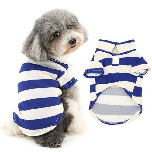 Ranphy Gestreiftes Poloshirt für kleine und mittelgroße Hunde, Welpen, Yorkie, Chihuahua, Sommer, Frühling, Katzenkleidung, Haustier, kurzärmelig, Blau, Größe M von Ranphy