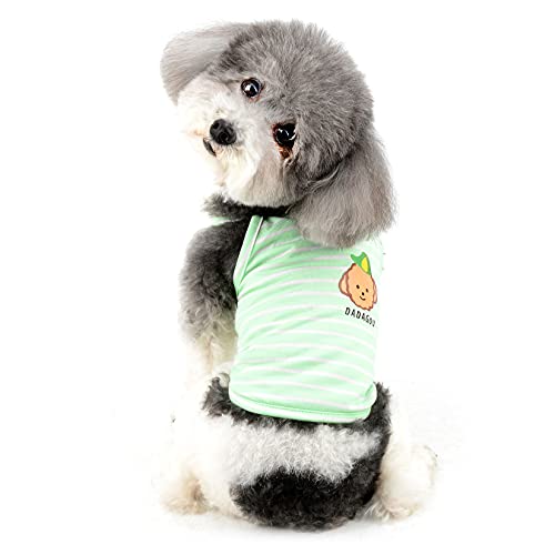 Ranphy Gestreiftes kleines Hundehemd für Jungen und Mädchen, Haustier-Kleidung, Sommer-Welpen, Tank-Top, atmungsaktiv, ärmellos, T-Shirt für Doggie, weiche Pullover, Kleidung, Katzensweatshirt von Ranphy