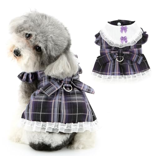 Ranphy Haustier-Geschirrkleid für kleine Hunde, Mädchen, Welpen, Prinzessin, Rock, Haustier-Kostüm, Outfits, Spitzenbesatz, Yorkie, Chihuahua, Kleidung, Leine, Ring, Katzenkleidung, Lila, Größe XL Ranphy Haustier-Geschirrkleid für kleine Hunde, Mädchen, Welpen, Prinzessin, Rock, Haustier-Kostüm, Outfits, Spitzenbesatz, Yorkie, Chihuahua, Kleidung, Leine, Ring, Katzenkleidung, Lila, Größe XL von Ranphy