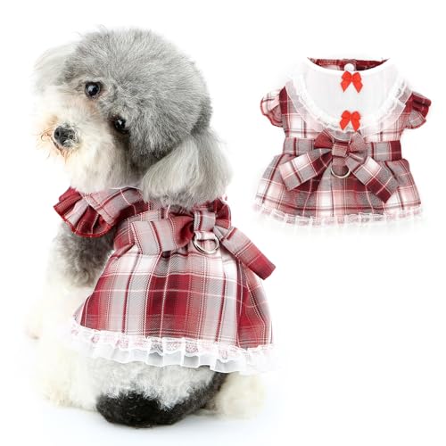 Ranphy Haustier-Geschirrkleid für kleine Hunde, Mädchen, Welpen, Prinzessin, Rock, Haustier-Kostüm, Outfits, Spitzenbesatz, Yorkie, Chihuahua, Kleidung, Leine, Ring, Katzenkleidung, Rot, Größe S Ranphy Haustier-Geschirrkleid für kleine Hunde, Mädchen, Welpen, Prinzessin, Rock, Haustier-Kostüm, Outfits, Spitzenbesatz, Yorkie, Chihuahua, Kleidung, Leine, Ring, Katzenkleidung, Rot, Größe S von Ranphy