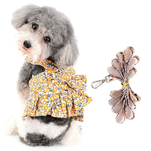 Ranphy Haustier-Kleidung für kleine Hunde, Geschirr-Kleid mit Leine, Set mit Welpen, Blumen, Bedruckte Röcke, Netzschleife, Weste, Kleider, Prinzessinnen-Kostüm, Hemd, Sommerkleidung, Outfit von Ranphy