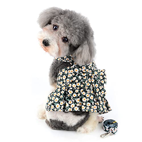Ranphy Haustier-Kleidung für kleine Hunde, Geschirr-Kleid mit Leine, Set mit Welpen, Blumen, Bedruckte Röcke, Netzschleife, Weste, Kleider, Prinzessinnen-Kostüm, Hemd, Sommerkleidung, Outfit von Ranphy