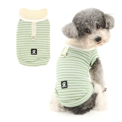 Ranphy Haustier-T-Shirt für Haustiere, Waffelstrick, gestreift, für X-Small und kleine Hunde, niedlicher Schalkragen, Welpenpullover, atmungsaktive Weste mit D-Ring, Yorkie, Chihuahua, Frühling von Ranphy