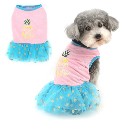 Ranphy Haustier-Tutu-Kleid für kleine Hunde, Welpen, gepunkteter Tüllrock, grafisches Tank-Top, Outfits, Yorkie, Chihuahua, Frühling, Sommer, Hündin, Katzenkleidung, Rosa, Größe S Ranphy Haustier-Tutu-Kleid für kleine Hunde, Welpen, gepunkteter Tüllrock, grafisches Tank-Top, Outfits, Yorkie, Chihuahua, Frühling, Sommer, Hündin, Katzenkleidung, Rosa, Größe S von Ranphy