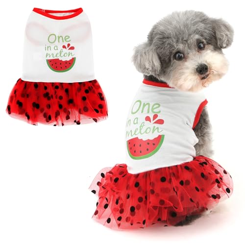 Ranphy Haustier-Tutu-Kleid für kleine Hunde, Welpen, gepunkteter Tüllrock, grafisches Tank-Top, Outfits, Yorkie, Chihuahua, Frühling, Sommer, Hündin, Katzenkleidung, Weiß, Größe M Ranphy Haustier-Tutu-Kleid für kleine Hunde, Welpen, gepunkteter Tüllrock, grafisches Tank-Top, Outfits, Yorkie, Chihuahua, Frühling, Sommer, Hündin, Katzenkleidung, Weiß, Größe M von Ranphy
