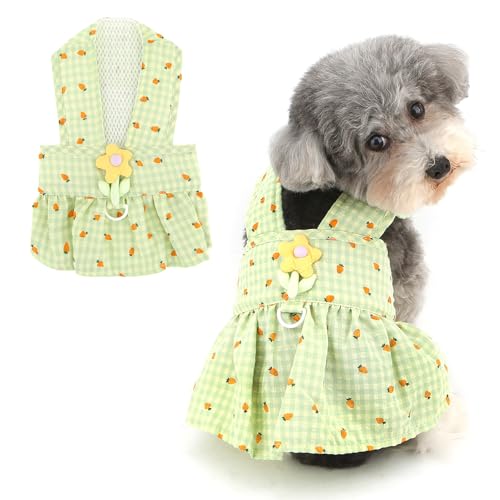 Ranphy Haustiergeschirr mit gefüllten Blumen, Gingham-Muster, Kleid für X-Small und kleine Hunde mit Leine, Ring, Welpen, Sommerkleid, Rock, Outfits, Yorkie, Chihuahua, Frühling, Sommer, Hündinnen von Ranphy