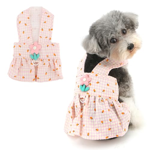 Ranphy Haustiergeschirr mit gefüllten Blumen, Gingham-Muster, Kleid für X-Small und kleine Hunde mit Leine, Ring, Welpen, Sommerkleid, Rock, Outfits, Yorkie, Chihuahua, Frühling, Sommer, Hündinnen Ranphy Haustiergeschirr mit gefüllten Blumen, Gingham-Muster, Kleid für X-Small und kleine Hunde mit Leine, Ring, Welpen, Sommerkleid, Rock, Outfits, Yorkie, Chihuahua, Frühling, Sommer, Hündinnen von Ranphy