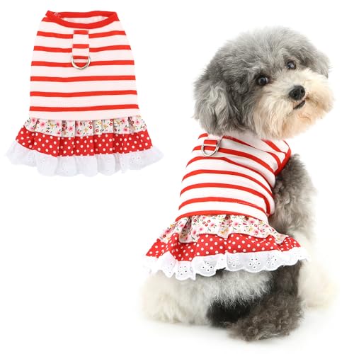 Ranphy Haustierkleid für kleine Hunde, Welpen, gepunktet, florales Spitzenrock, Tank-Top, Outfits mit D-Ring, Yorkie, Chihuahua, Frühling, Sommer, Hündinnen, Katzenkleidung, Rot, Größe M Ranphy Haustierkleid für kleine Hunde, Welpen, gepunktet, florales Spitzenrock, Tank-Top, Outfits mit D-Ring, Yorkie, Chihuahua, Frühling, Sommer, Hündinnen, Katzenkleidung, Rot, Größe M von Ranphy
