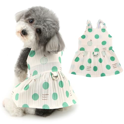 Ranphy Haustierkleid für kleine Hunde und Katzen, Prinzessin, gepunktet, niedlicher Hunderock, Welpenkleider, Frühlingssommer-Outfits, Chihuahua, Yorkie, Kleidung, Katzenbekleidung, Grün, M von Ranphy