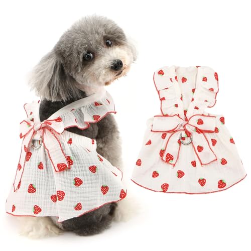 Ranphy Haustierkleid für kleine Hunde und Mädchen, elegante Schleife, Erdbeere, Sommerkleid, Welpen, Rüschen, Rock, Yorkie, Chihuahua, Sommerkleidung, Katzenkleidung, Leine, Ring, Weiß, Größe S Ranphy Haustierkleid für kleine Hunde und Mädchen, elegante Schleife, Erdbeere, Sommerkleid, Welpen, Rüschen, Rock, Yorkie, Chihuahua, Sommerkleidung, Katzenkleidung, Leine, Ring, Weiß, Größe S von Ranphy