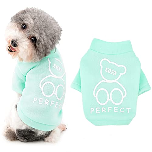 Ranphy Haustierkleidung für kleine Hunde Jungen Mädchen Herbst Winter Pullover Rollkragenpullover Sweatshirt Welpen Katze Warmer Mantel T-Shirt Modischer Weicher Welpen Outdoor Pullover?Grün,XXL Ranphy Haustierkleidung für kleine Hunde Jungen Mädchen Herbst Winter Pullover Rollkragenpullover Sweatshirt Welpen Katze Warmer Mantel T-Shirt Modischer Weicher Welpen Outdoor Pullover?Grün,XXL von Ranphy