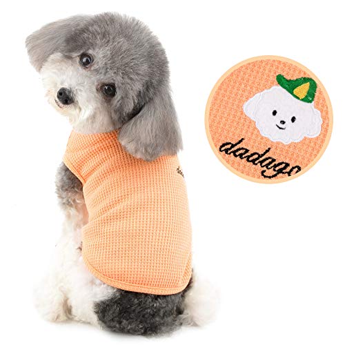 Ranphy Haustierkleidung für kleines Hundehemd Weste Hunde Muskelshirt Atmungsaktiv Gestrickte T-Shirts Sommer ärmelloses Sweatshirt Pullover Kleidung für Chihuahua Yorkshire Terrier Rosa M von Ranphy