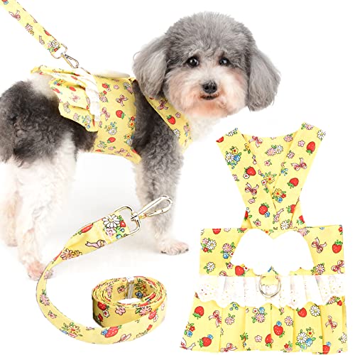 Ranphy Haustierkleidung für kleine Hunde mit Leine, Ring für Welpen, niedlich, bedruckt, Spitze, Prinzessinnen-Kostüm, Hemd, Sommerkleid, Rock mit Flügel von Ranphy