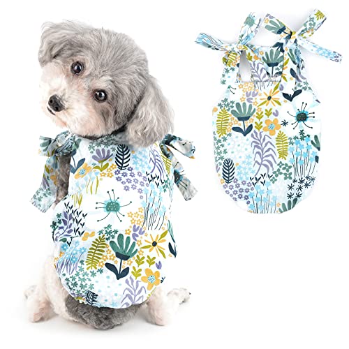 Ranphy Hawaii Hundekleid für kleine Hunde Mädchen Welpen Strapsrock mit Blumendruck Haustier Katze Frühling Sommer Bekleidung Chihuahua Yorkie Kostüme, Grün, L von Ranphy
