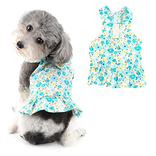Ranphy Hawaiianisches Hundekleid Geschirre für kleine Mädchen Hund Blumen Haustier Strapsrock Welpen Sommer Strand Sommerkleid Hunde Katzen Outfit, Blau, M von Ranphy