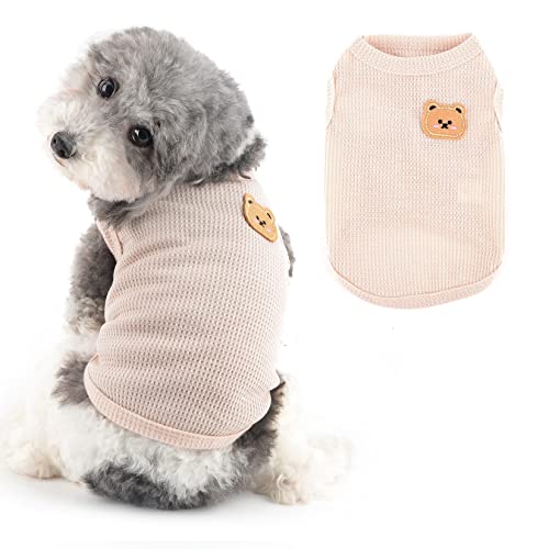 Ranphy Hund-T-Shirt für kleine Hunde Mädchen Jungen Bär Welpe Ärmellose Kleidung Waffel Kleine Katze Kleidung Welpen-Sweatshirt Sommer Frühling Hund Tank Weste, Creme, L von Ranphy