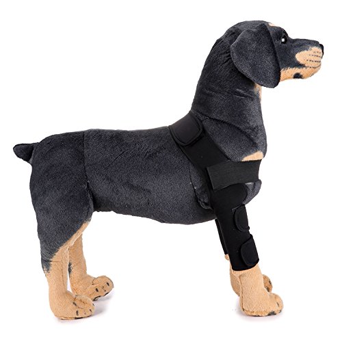 Ranphy Hunde-Beinbandage, für Vorderbeine, Ellenbogenstütze, Schutz für gezerrissene ACL-Kompressionsbandagen für Wundheilung, Verletzungen, Vorbeugung von Arthritis, Schwarz, 1 Paar Ranphy Hunde-Beinbandage, für Vorderbeine, Ellenbogenstütze, Schutz für gezerrissene ACL-Kompressionsbandagen für Wundheilung, Verletzungen, Vorbeugung von Arthritis, Schwarz, 1 Paar von Ranphy