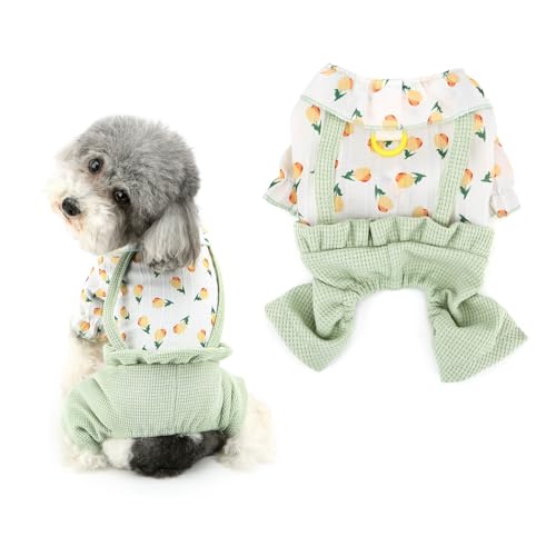 Ranphy Hunde-Shirt, modischer Jumpsuit für kleine Hunde, Welpen, Overall, niedliche Hundekleidung, Frühling, Sommer, vierbeinige Outfits, Yokie, Chihuahua, Katzen, Grün, Größe XL Ranphy Hunde-Shirt, modischer Jumpsuit für kleine Hunde, Welpen, Overall, niedliche Hundekleidung, Frühling, Sommer, vierbeinige Outfits, Yokie, Chihuahua, Katzen, Grün, Größe XL von Ranphy