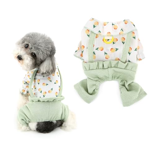 Ranphy Hunde-Shirt, modischer Jumpsuit für kleine Hunde, Welpen, Overall, niedliche Hundekleidung, Frühling, Sommer, vierbeinige Outfits, Yokie, Chihuahua, Katzen, Grün, Größe XL von Ranphy