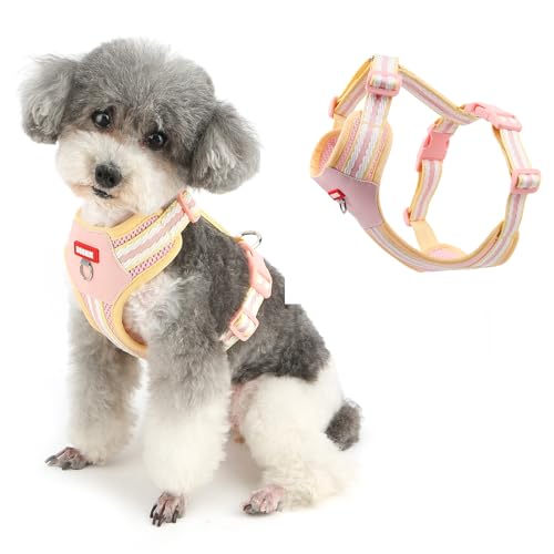 Ranphy Hundegeschirr aus Netzstoff für kleine und mittelgroße Hunde, weich, verstellbar, mit kontrastfarbigem Gurtband, gepolsterte Brust, ausbruchsicher, Schnellverschluss-Schnalle vorne und hinten Ranphy Hundegeschirr aus Netzstoff für kleine und mittelgroße Hunde, weich, verstellbar, mit kontrastfarbigem Gurtband, gepolsterte Brust, ausbruchsicher, Schnellverschluss-Schnalle vorne und hinten von Ranphy