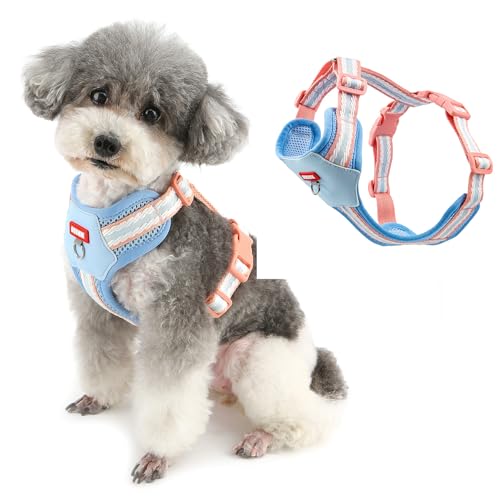 Ranphy Hundegeschirr aus Netzstoff für kleine und mittelgroße Hunde, weich, verstellbar, mit kontrastfarbigem Gurtband, gepolsterte Brust, ausbruchsicher, Schnellverschluss-Schnalle vorne und hinten Ranphy Hundegeschirr aus Netzstoff für kleine und mittelgroße Hunde, weich, verstellbar, mit kontrastfarbigem Gurtband, gepolsterte Brust, ausbruchsicher, Schnellverschluss-Schnalle vorne und hinten von Ranphy