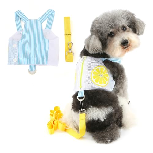 Ranphy Hundegeschirr aus weichem Netzgewebe, kein Ziehen, für Xsmall und kleine Hunde, niedlich, atmungsaktiv, für Welpen, Kätzchen, Katzengeschirr und Leine, Set für Training, Spaziergänge Ranphy Hundegeschirr aus weichem Netzgewebe, kein Ziehen, für Xsmall und kleine Hunde, niedlich, atmungsaktiv, für Welpen, Kätzchen, Katzengeschirr und Leine, Set für Training, Spaziergänge von Ranphy