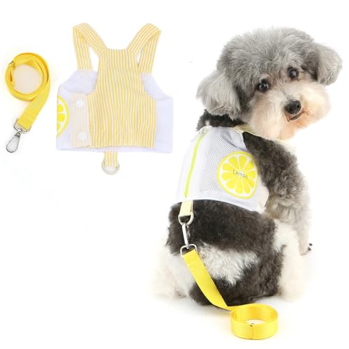Ranphy Hundegeschirr aus weichem Netzgewebe für Xsmall und kleine Hunde, niedlich, atmungsaktiv, für Welpen, Kätzchen, Katzengeschirr und Leine, Set für Training, Spazierengehen, ausbruchsicher, mit Ranphy Hundegeschirr aus weichem Netzgewebe für Xsmall und kleine Hunde, niedlich, atmungsaktiv, für Welpen, Kätzchen, Katzengeschirr und Leine, Set für Training, Spazierengehen, ausbruchsicher, mit von Ranphy