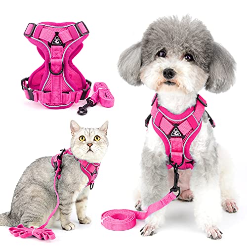 Ranphy Hundegeschirr und Leine für kleine Hunde, reflektierend, ausbruchsicher, atmungsaktiv, verstellbar, Brustgeschirr, Wanderjacke für Outdoor-Training Ranphy Hundegeschirr und Leine für kleine Hunde, reflektierend, ausbruchsicher, atmungsaktiv, verstellbar, Brustgeschirr, Wanderjacke für Outdoor-Training von Ranphy
