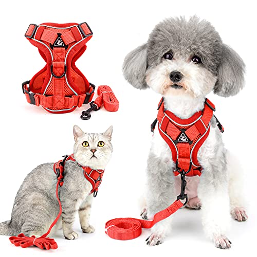 Ranphy Hundegeschirr und Leine für kleine Hunde, reflektierend, ausbruchsicher, atmungsaktiv, verstellbar, Brustgeschirr, Wanderjacke für Outdoor-Training Ranphy Hundegeschirr und Leine für kleine Hunde, reflektierend, ausbruchsicher, atmungsaktiv, verstellbar, Brustgeschirr, Wanderjacke für Outdoor-Training von Ranphy