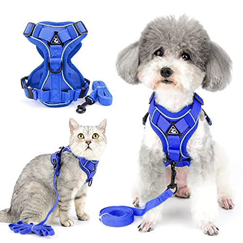 Ranphy Hundegeschirr und Leine für kleine Hunde, reflektierend, ausbruchsicher, atmungsaktiv, verstellbar, Brustgeschirr, Wanderjacke für Outdoor-Training Ranphy Hundegeschirr und Leine für kleine Hunde, reflektierend, ausbruchsicher, atmungsaktiv, verstellbar, Brustgeschirr, Wanderjacke für Outdoor-Training von Ranphy